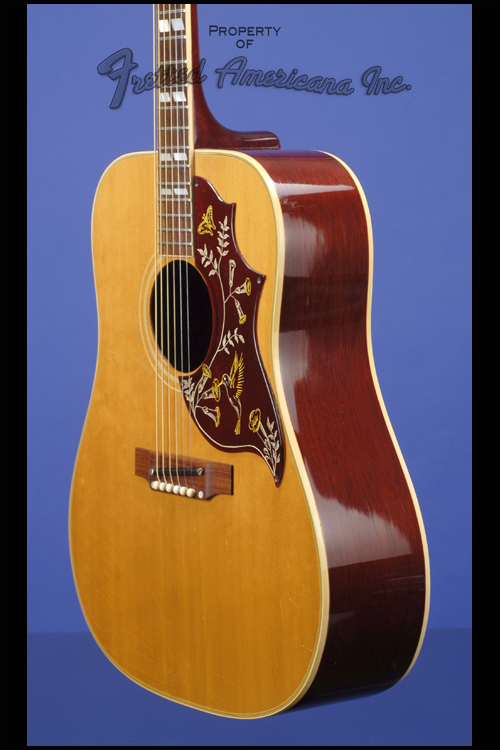 Hummingbird Guitars | Fretted Americana Inc.