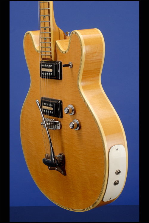 Guitars | Fretted Americana Inc.