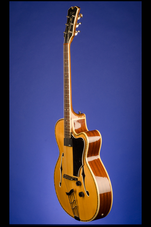 Guitars Fretted Americana Inc