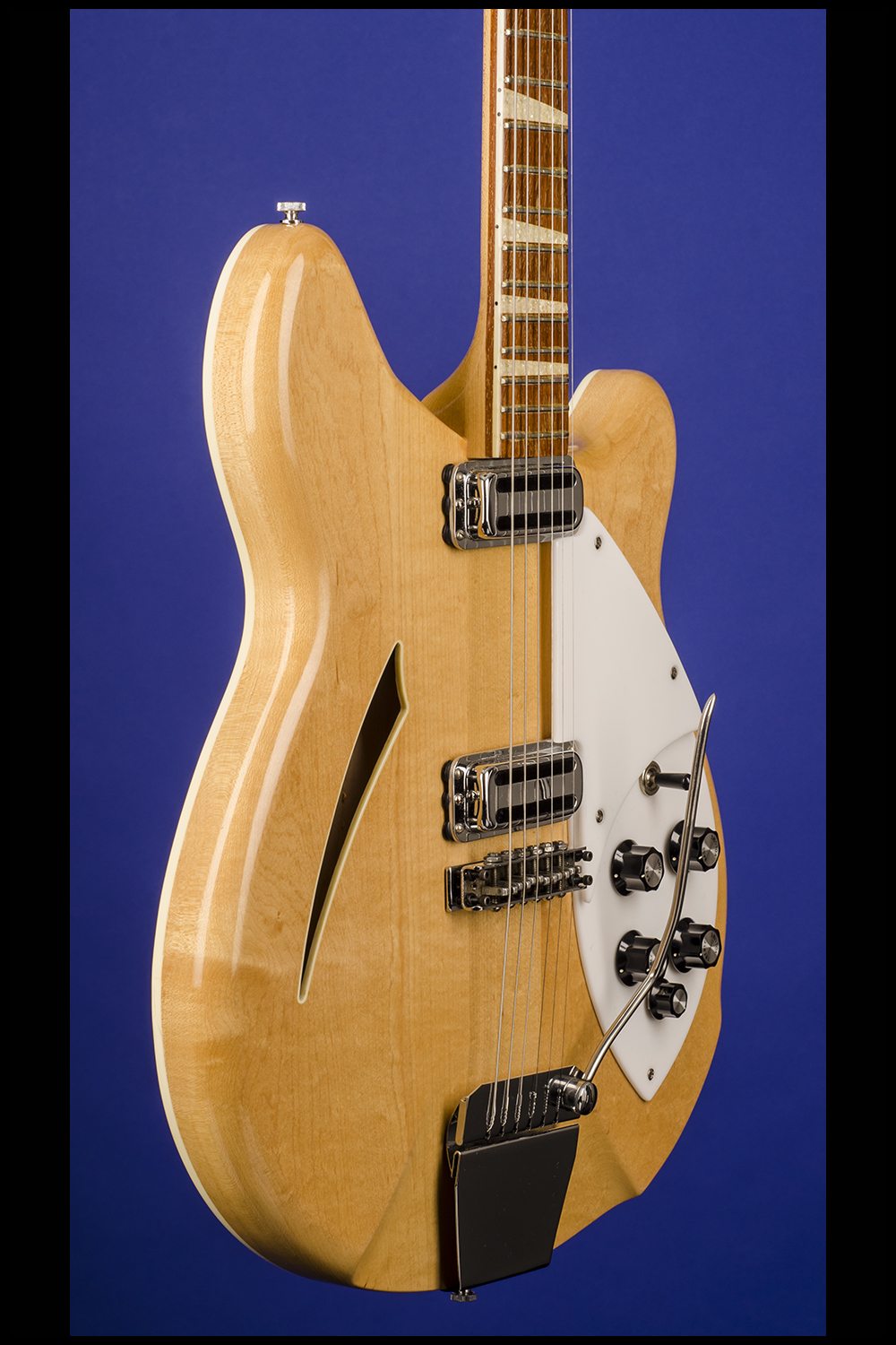 365 (two pickups with vibrato) Guitars | Fretted Americana Inc.