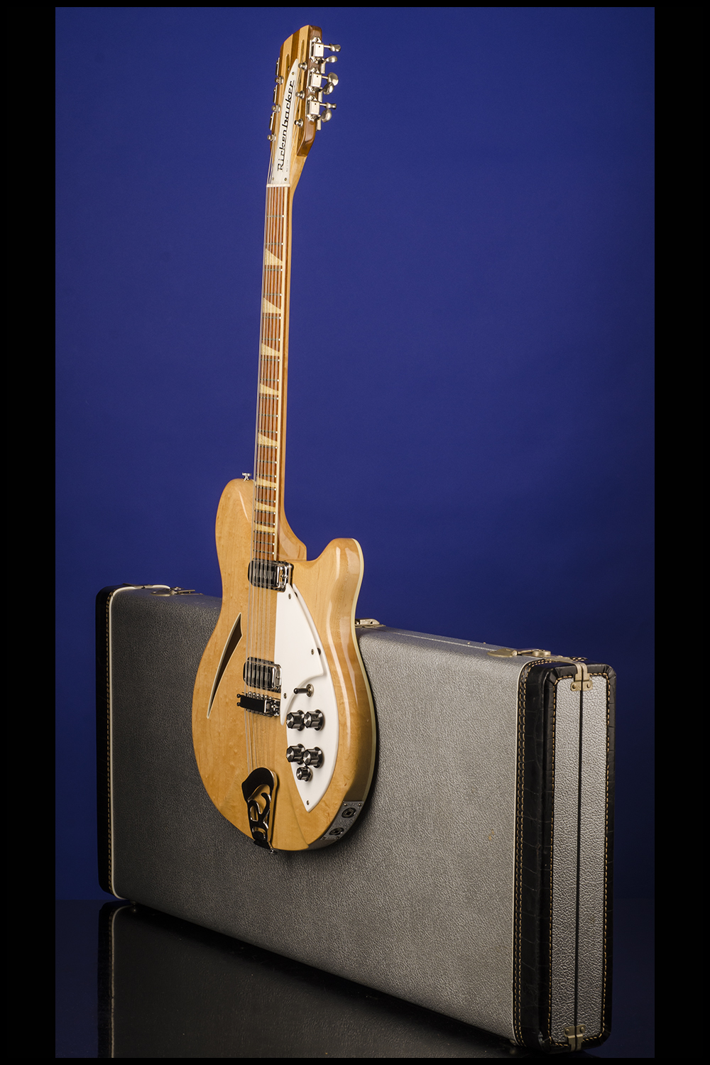 360/12 (two pickups) Guitars | Fretted Americana Inc.