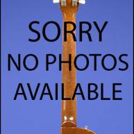 2004 Hofner HAS-01 Sienna Series (Dreadnaught) 