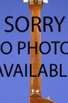 2004 Hofner HAS-01 Sienna Series (Dreadnaught) 