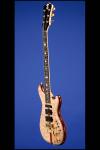 2002 Alembic "Further" Prototype