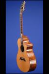 1999 Breedlove Master Class Grand Concert C25