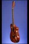 2001 Carvin Swallowtail AC375 by T. Breeze VerDant