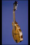 2011 Gibson F-5G Mandolin Custom Gold Top #2