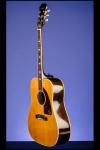 1966 Epiphone Frontier FT 110N